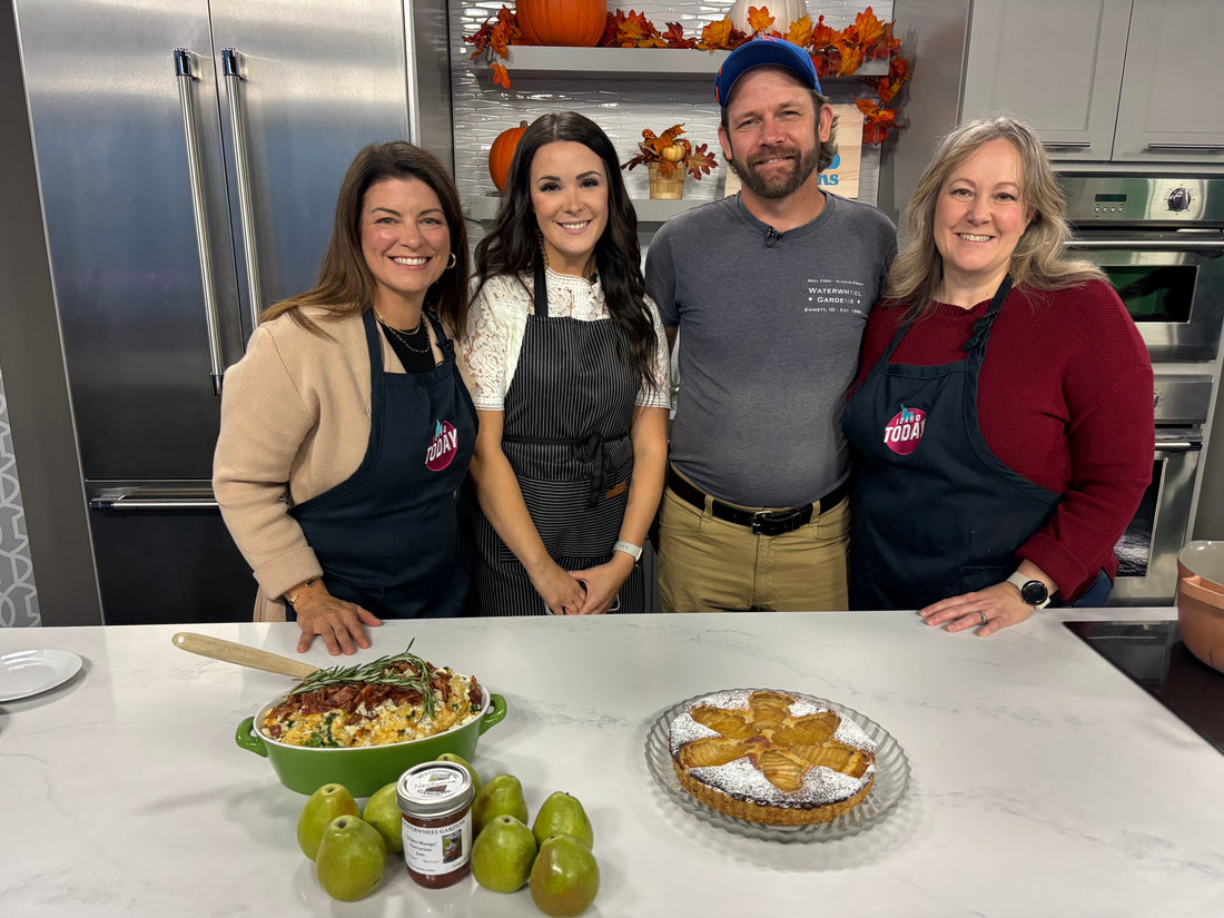 November 3rd - THE EAZY PEAZY WEEKLY - Best Thanksgiving Side; Pears!