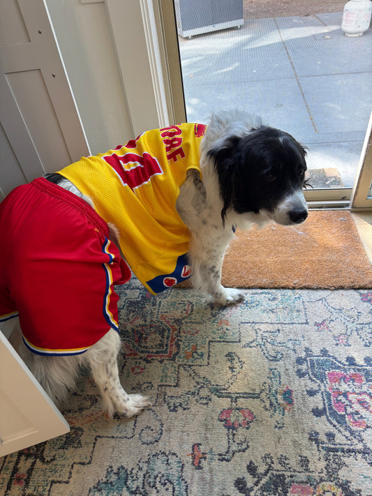 August 11th - The Eazy Peazy Weekly - Dogs, Back to School, Prayers Please